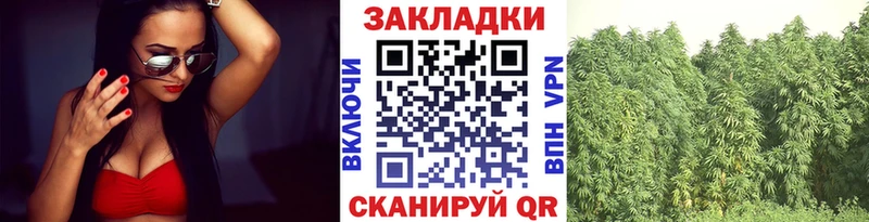 Купить наркоту Сенгилей Псилоцибиновые грибы  Мефедрон  АМФ  ГАШИШ  СОЛЬ  Конопля 