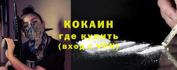 шишки Армянск