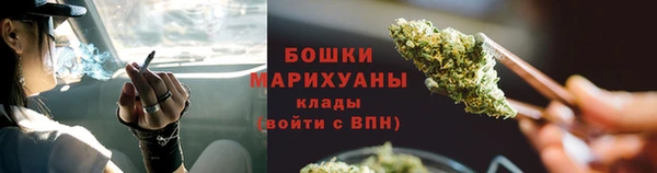 шишки Армянск