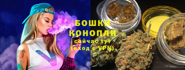 прущие крисы Аркадак