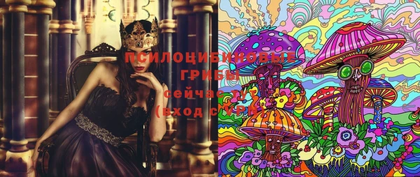 шишки Армянск