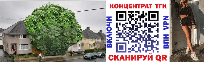Дистиллят ТГК концентрат  где можно купить   Сенгилей 